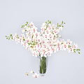 Decorative Vases With Colorful Flowers And Green Plants For Home Decoration