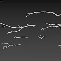Dry Tree Branches with Various Shapes Isolated on Black Background 3d model