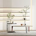 Modern coffee table side table combination 3d model