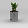 Tech Exhibition Hall Interior With Transparent Glass Vase Green Plants And Soil