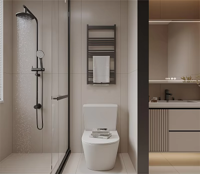 Modern Bathroom Interior With Shower Toilet Towel Rack Mirror And Vanity 3d model