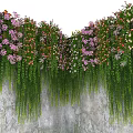 Colorful Flowers And Green Plants Growing On Stone Wall With Hanging Vines