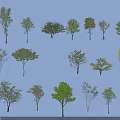 Various Arbor Trees With Diverse Canopy Shapes Isolated On Light Blue Background 3d model