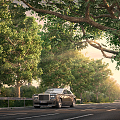 Modern roads drive through the forest 3d model