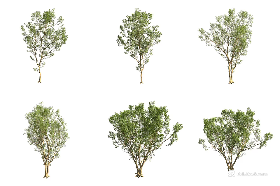 Various Green Leaf Trees With Different Natural Shapes And Lush Foliage 3d model