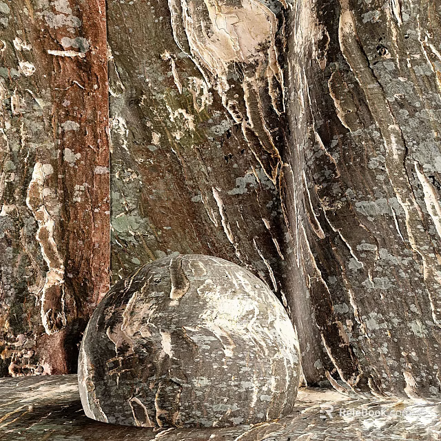 Natural Textures Of Tree Trunks And Coconut 3d model 