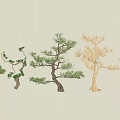 Various Types of Arbor Trees With Different Shapes Green Foliage and Bare Branches