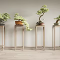Light Colored Plant Stands With Potted Bonsai Trees Against Light Wall On Wooden Floor