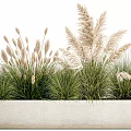 Bonsai Potted Plants With Ornamental Grasses In Concrete Planter For Natural Home Decor