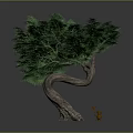 Curved Trunk Tree With Lush Green Leaves And Small Squirrel Next To It