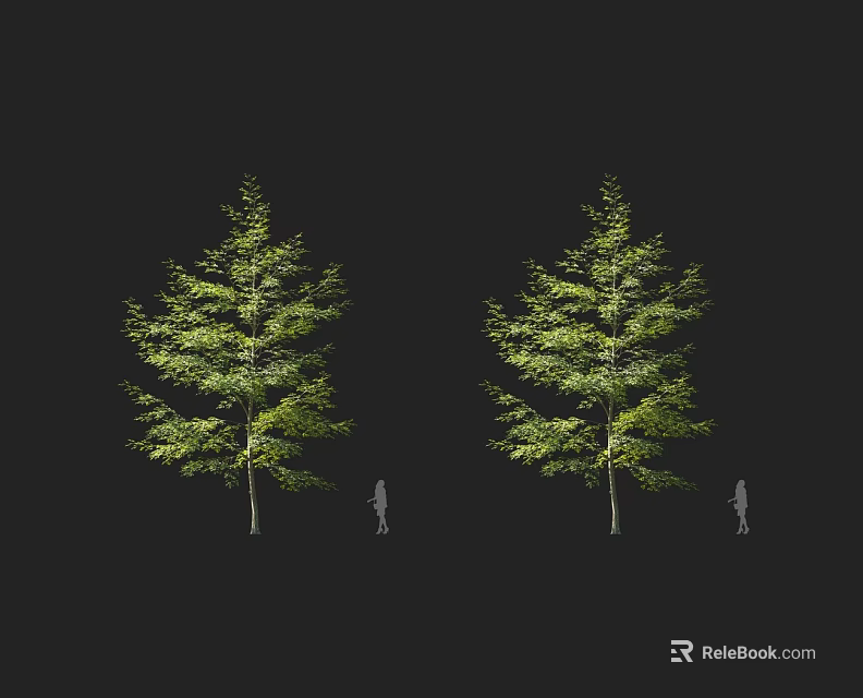 Two Arbors With Lush Green Foliage And Slender Trunk Human Figure for Scale 3d model 