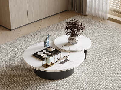 Modern Round Marble Coffee Tables With Potted Plants Tray And Small Decorative Items 3d model
