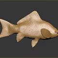 Golden Fish With Detailed Scaled Texture Shiny Metallic Decorative Sculpture On Dark Background