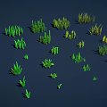 Varied Green Grass Collection with Different Shapes Sizes on Dark Blue Background