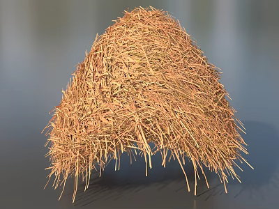 Natural Dried Grass Haystack With Brown Yellow Color And Cone Shape 3d model