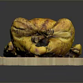 Whole Golden Brown Roasted Chicken on Wooden Cutting Board with Crispy Skin