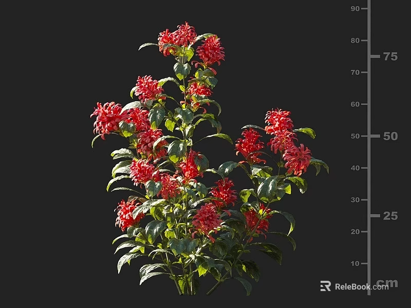 Vibrant Red Blooming Flowers With Lush Green Leaves In Garden Plant 3d model 