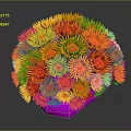 Bright Orange Aquatic Coral with Pink Base and Spherical Flower Shaped Form