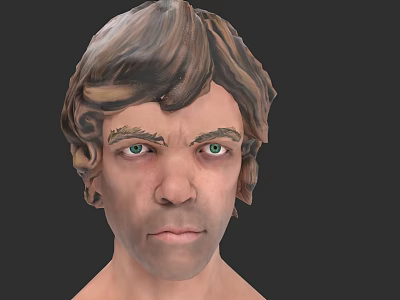 Realistic 3D Game and Film Character Head Model With Brown Curly Hair Green Eyes 3d model