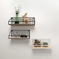 Stylish Modern Wall Cabinets In Geometric Shapes With Green Plants And Books