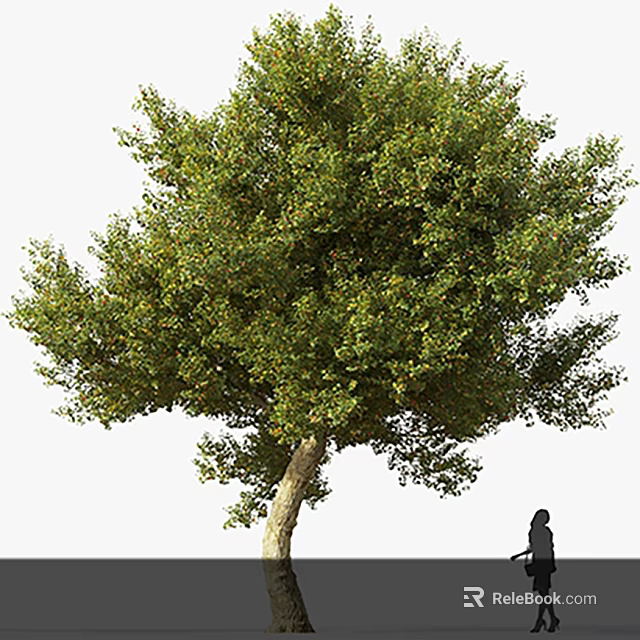 Lush Green Arbor With Thick Trunk And Person Silhouette In Background 3d model 