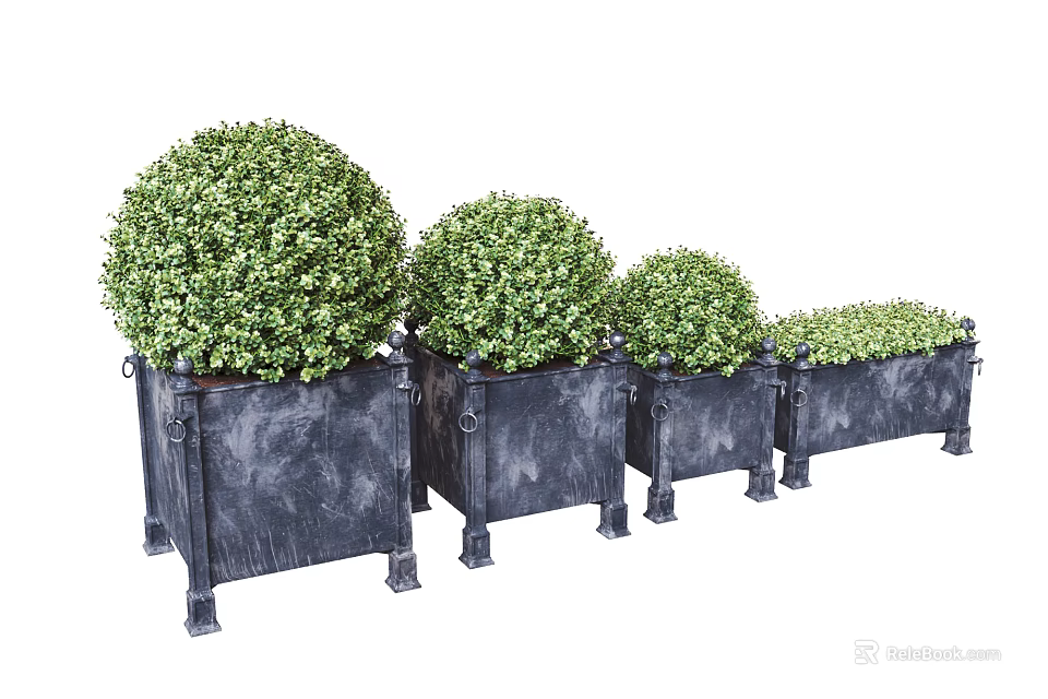 Garden Decor Featuring Black Metal Rectangular Planters with Round Shrubs and Long Green Plants 3d model 