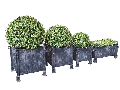 Garden Decor Featuring Black Metal Rectangular Planters with Round Shrubs and Long Green Plants 3d model