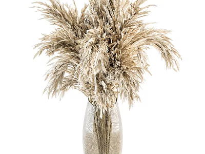 Natural Dried Pampas Grass Floral Arrangement in Clear Glass Vase for Minimalist Home Decoration 3d model