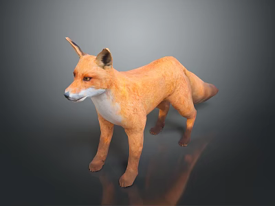 Game Movie Character Orange Fur White Underbelly Fox 3D Model Standing Pose Dark Background 3d model