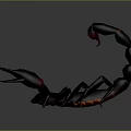 Realistic 3D Scorpion Model with Dark Blue Body Red Claws and Tail