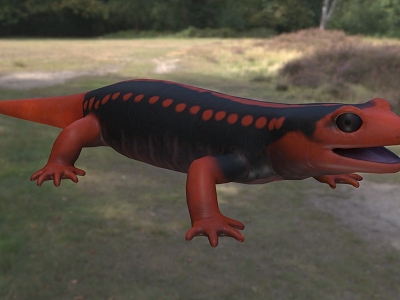 Red scrofula warts newt warts newt golden unicorn salamander red gecko water gecko doll insect animal 3d model