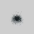 Elegant Blue Gray Ornamental Grass Planted in White Pot Against Black Background