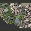 Natural Forest Ground Scene With Tree Stumps Covered In Green Moss And Fallen Leaves
