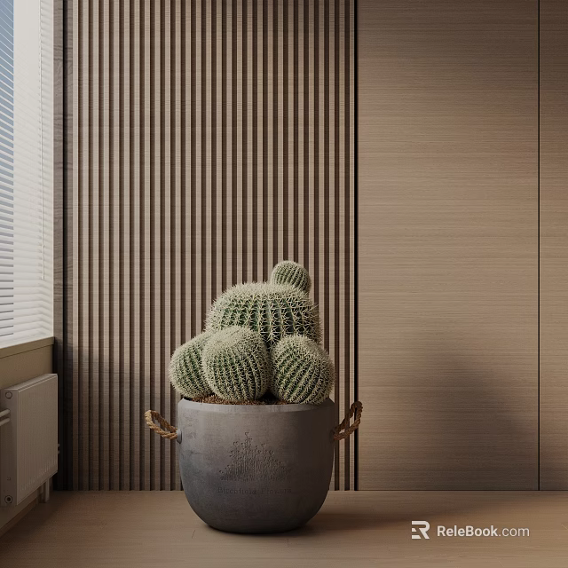 Green Cactus Potted Plant in Gray Handle Pot with Wooden Striped Wall and Window Blinds 3d model 