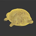 Modern Turtle Cartoon Turtle Snapping Turtle 3d model