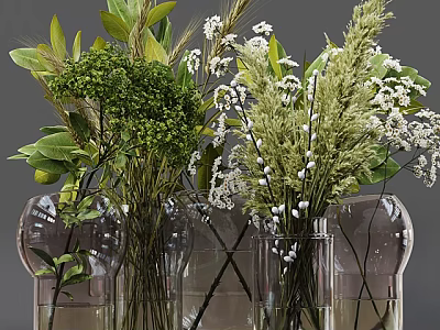 Transparent Glass Vases with Green Foliage White Flowers and Decorative Plants 3d model