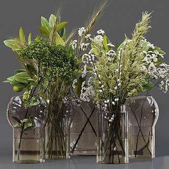 Plant Green Plant Vase Flower Shrub Flower Potted Plant 3d model