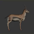 Realistic Gazelle With Long Horns And Brown White Coat Standing On Gray Surface