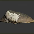 Natural Clam Shell With Brown White Color And Shiny Textured Surface On Black Background