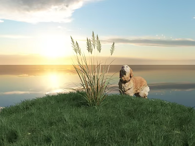 Tall Grass Plants by Sea at Sunset with Dog and Cloudy Sky 3d model