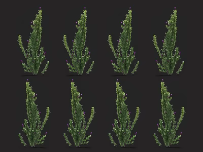 Green Flowering Plants With Purple Blooms Arranged Neatly On Black Background 3d model