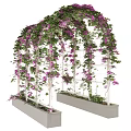 White Arched Arbor With Lattice Structure Base Planter Boxes Covered In Purple Vines And Flowers