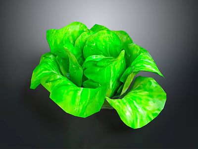 Healthy Green Lettuce With Fresh Plump Leaves And Vibrant Color On Dark Background 3d model