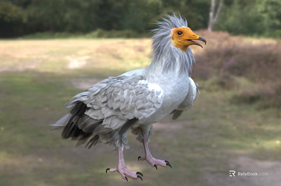 Griffon Vulture Featuring Grey Feathers And Yellow Head Standing On Natural Grassy Field With Trees 3d model 