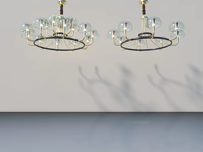Hinged Door Design Featuring Glass Bulb Chandeliers Metal Frame And Wall Shadows 3d model