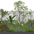 Vibrant Plant Combination With Trees Shrubs Colorful Flowers Rocks And White Wall