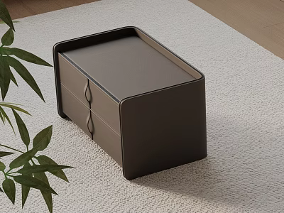 Dark Leather Bedside Table With Two Drawers On Rug Near Green Leaves And Wooden Floor 3d model