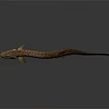Slender Spotted Freshwater Fish 3D Rendered with Detailed Texture as Aquatic Animal