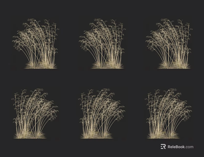 Golden Decorative Grasses Displayed On Black Background For Interior Decor 3d model 
