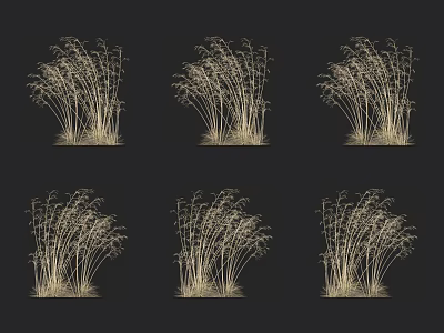 Golden Decorative Grasses Displayed On Black Background For Interior Decor 3d model